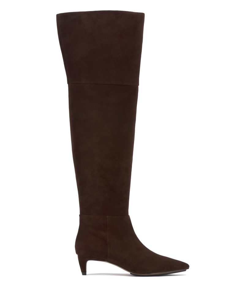 Iana Over-the-Knee Boot - Vince Camuto